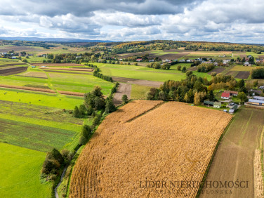 Działka siedliskowa Umieszcz