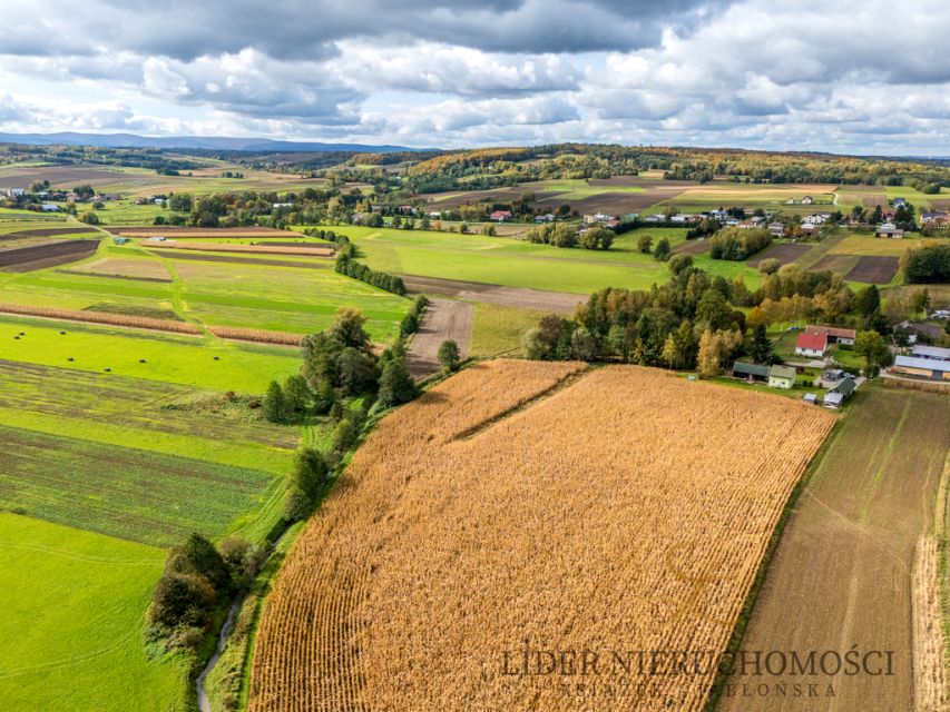 Działka siedliskowa Umieszcz