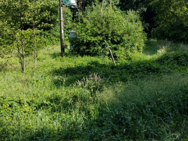 Działka siedliskowa sprzedam