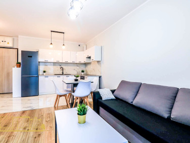 Mieszkanie Kraków wynajem