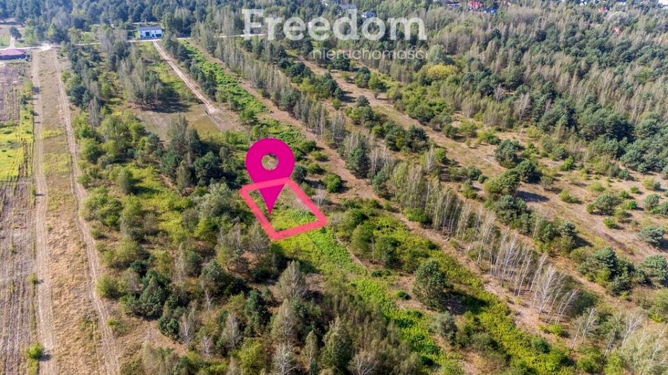 Działka Dziekanów Polski