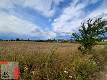 Działka Zielątkowo