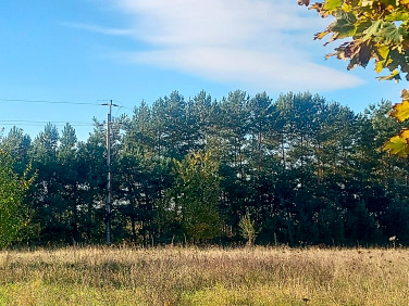 Działka budowlana Sierosław