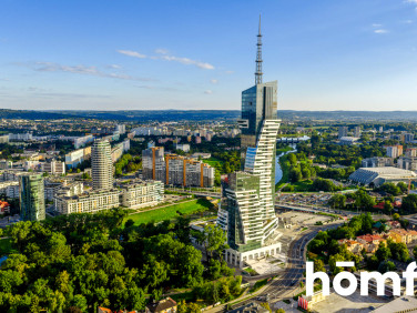 Lokal Rzeszów