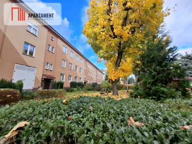 Mieszkanie Brzeg Dolny