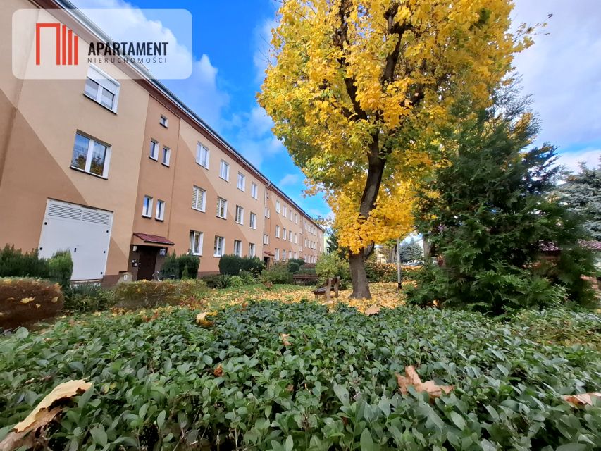 Mieszkanie Brzeg Dolny