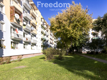 Mieszkanie Nysa