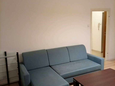 Mieszkanie Gliwice wynajem