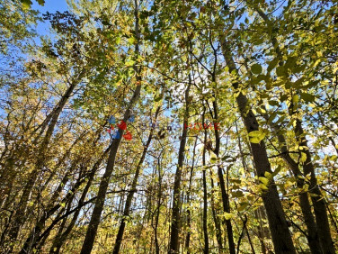 Działka budowlana Magdalenka sprzedam