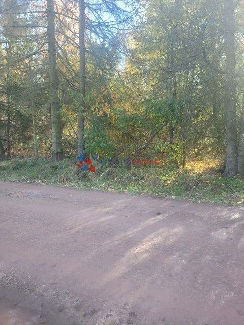 Zdjęcie 3
