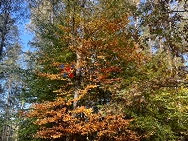 Działka budowlana Magdalenka