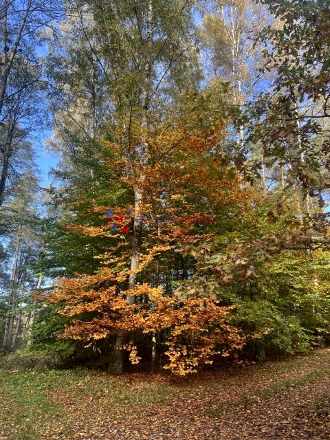 Działka budowlana Magdalenka