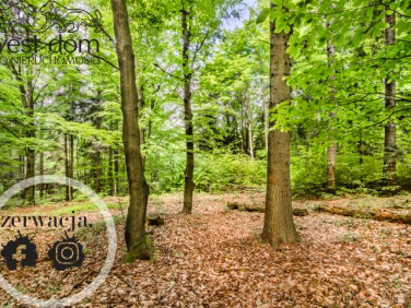 Działka Jodłówka Tuchowska