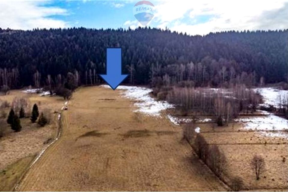 Działka budowlana Las