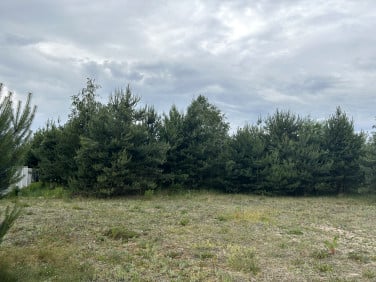 Działka Stara Wieś