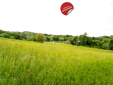 Działka budowlana Łazany