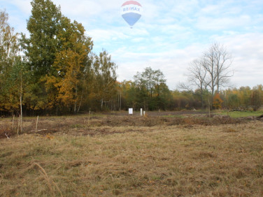 Działka budowlana Zazdrość