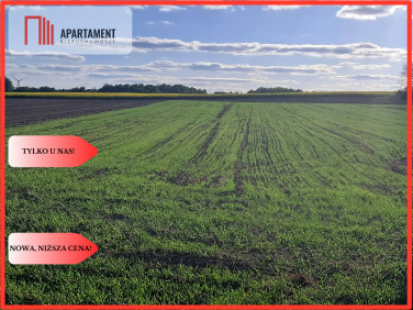 Działka inna Kruszki