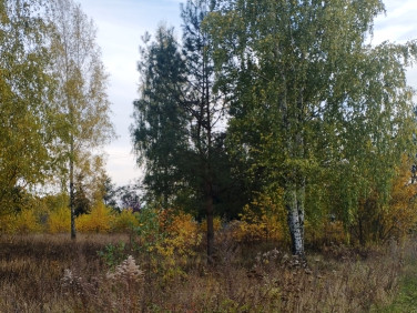 Działka budowlana Żelechów