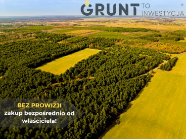Działka przy lesie