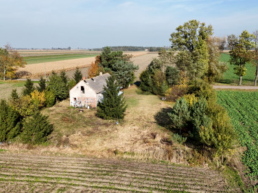 Działka Gosławice