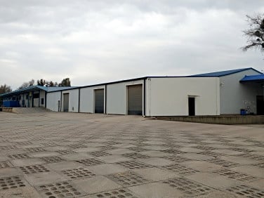 Budynek użytkowy Ostrołęka wynajem