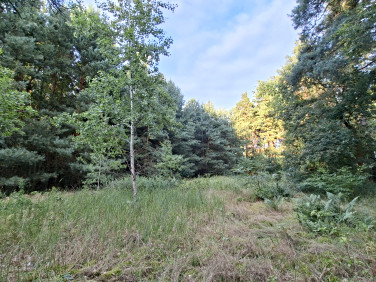 Działka budowlana Jarogniewice