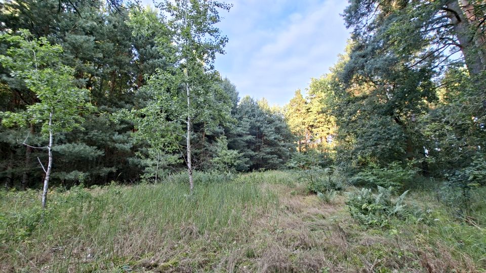 Działka budowlana Jarogniewice