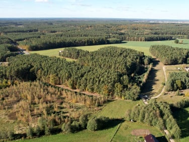 Działka Glinno