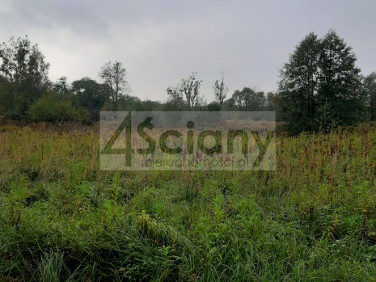 Działka budowlana Wólka
