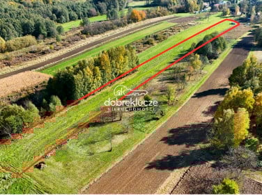 Działka rolna Kraczkowa