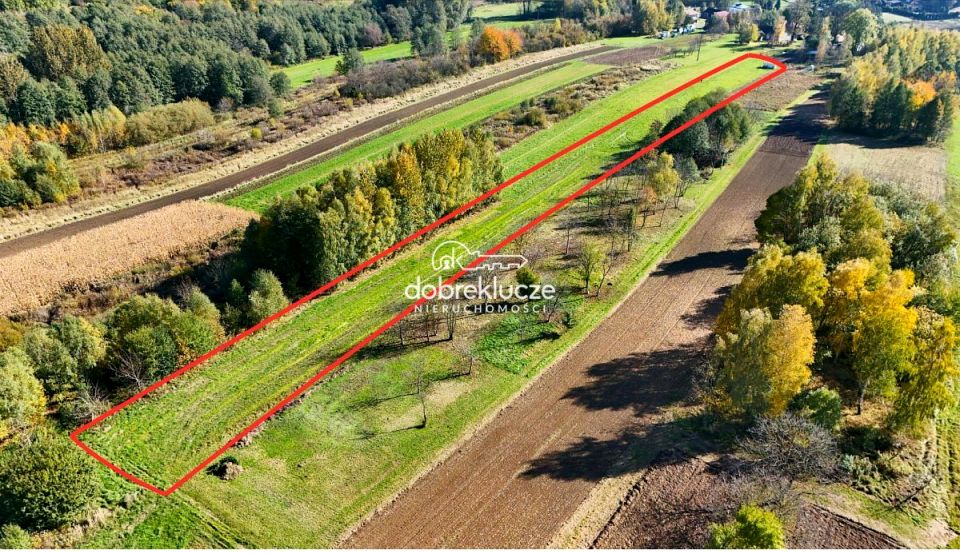 Działka rolna Kraczkowa