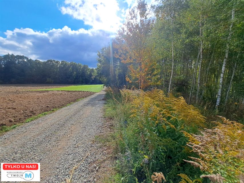 Działka siedliskowa Sędek