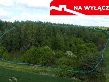 Działka rolna Chruszczów-Kolonia sprzedam