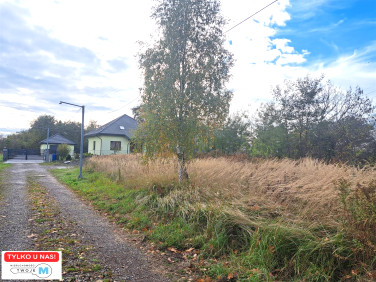 Działka budowlana Daleszyce