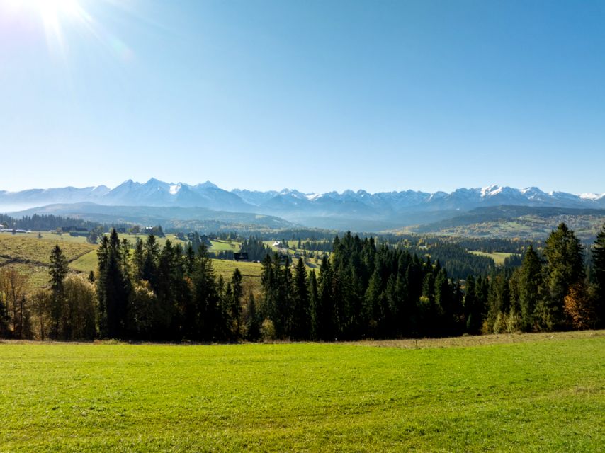 Działka rolna Rzepiska