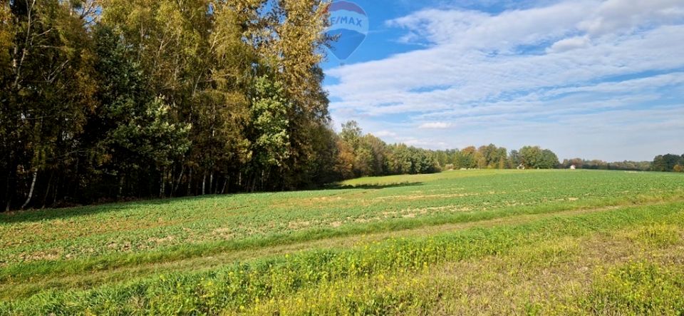 Działka rolna Kończyce Wielkie