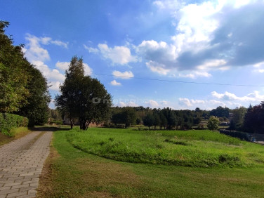 Działka Rybnik
