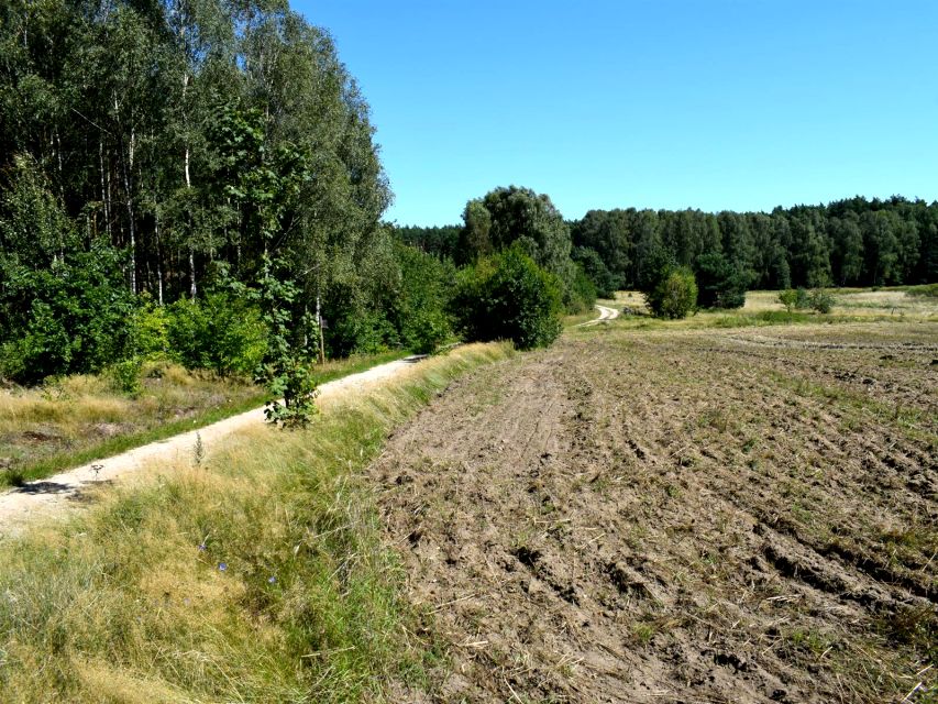Działka siedliskowa Ostroróg