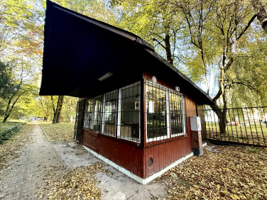 Lokal Kraków