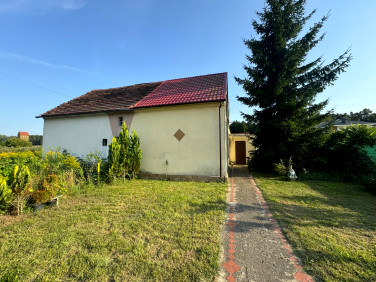 Działka przy lesie
