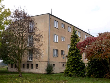 Mieszkanie Pęcław