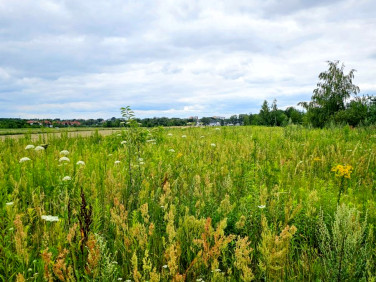 Działka budowlana Jesówka