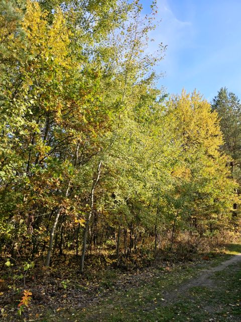 Działka budowlana Jesówka