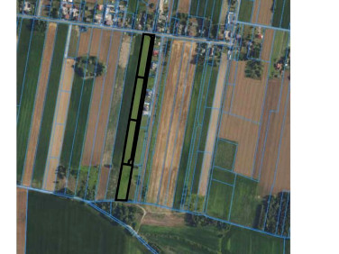 Działka budowlana Nowe Faszczyce