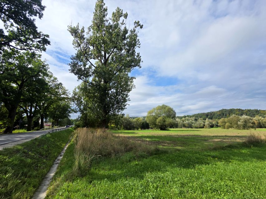 Działka inwestycyjna Krzywaczka