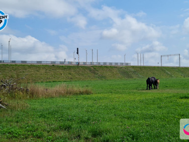 Działka usługowa Rębiechowo