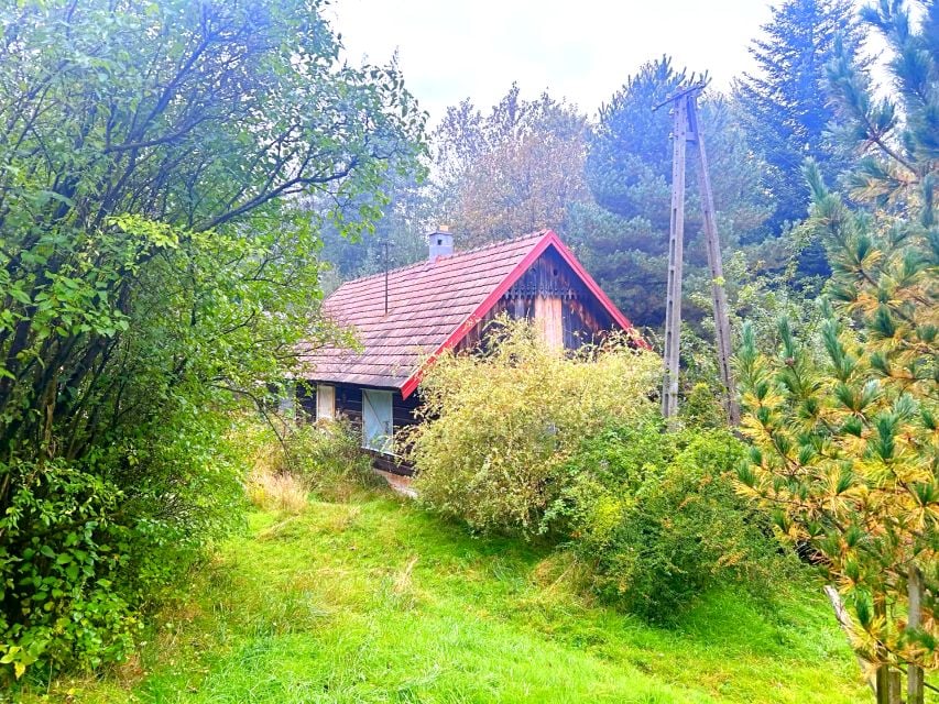 Zdjęcie 2