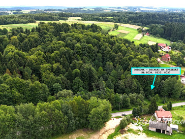 Działka rolno-leśna Golcowa