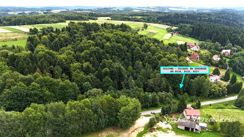 Działka rolno-leśna Golcowa